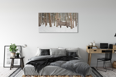 Obraz na akrylátovom skle Jeleň zimné les