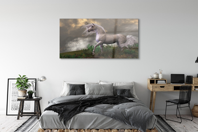 Obraz plexi Unicorn mraky
