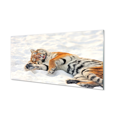 Obraz na akrylátovom skle Tiger winter