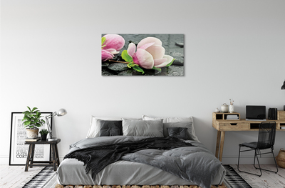 Obraz plexi Magnolia kamene