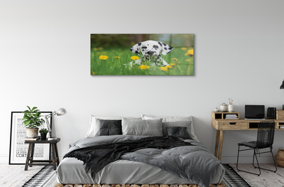Obraz na akrylátovom skle Prérijnej pes