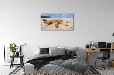 Obraz na akrylátovom skle Ležiaci pes pláž