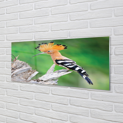 Obraz na akrylátovom skle Strom farebný papagáj