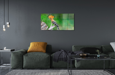 Obraz na akrylátovom skle Strom farebný papagáj