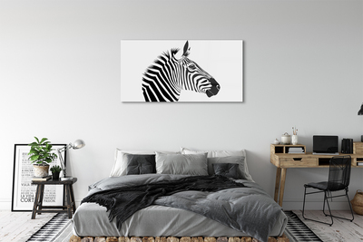 Obraz na akrylátovom skle Ilustrácie zebra