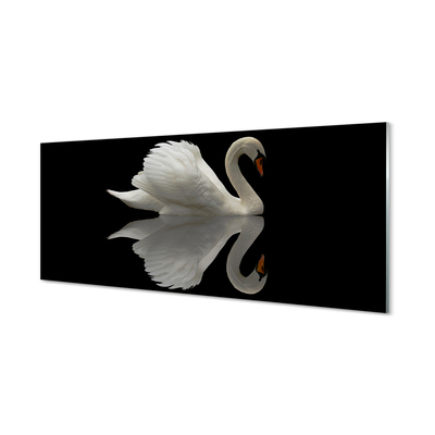 Obraz na akrylátovom skle Swan v noci