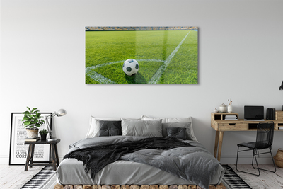 Obraz plexi Futbalový štadión trávy