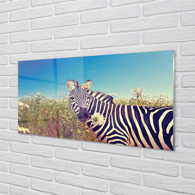 Obraz na akrylátovom skle Zebra kvety