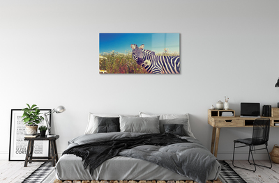 Obraz na akrylátovom skle Zebra kvety