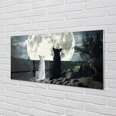 Obraz na akrylátovom skle Wolves mesiac lesné