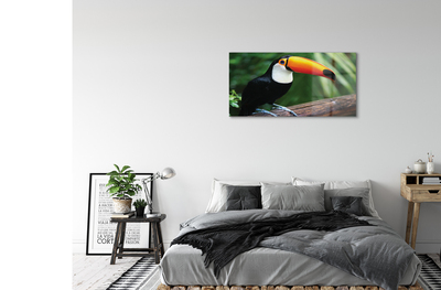 Obraz na akrylátovom skle Tukan na vetve
