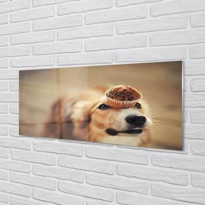 Obraz na akrylátovom skle Dog bun