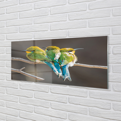 Obraz na akrylátovom skle Vtáky na vetve