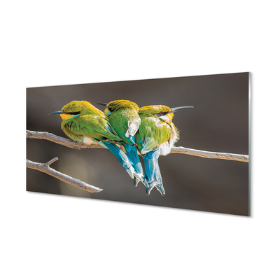 Obraz na akrylátovom skle Vtáky na vetve