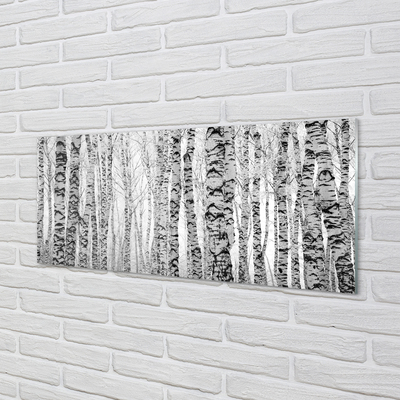 Obraz plexi Čierna a biela breza