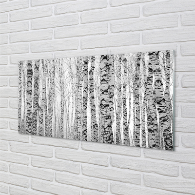 Obraz plexi Čierna a biela breza