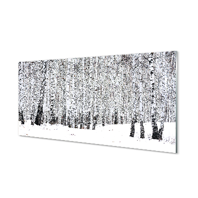 Obraz plexi Zimný brezy