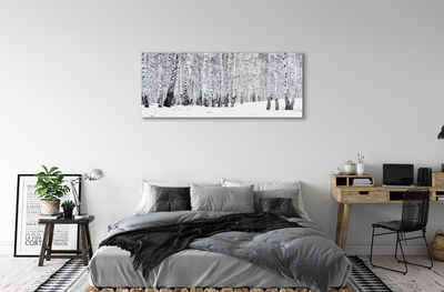 Obraz plexi Zimný brezy