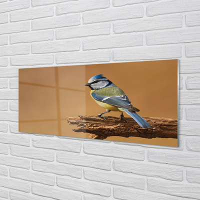 Obraz na akrylátovom skle Vták
