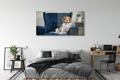 Obraz na akrylátovom skle Sediaci pes