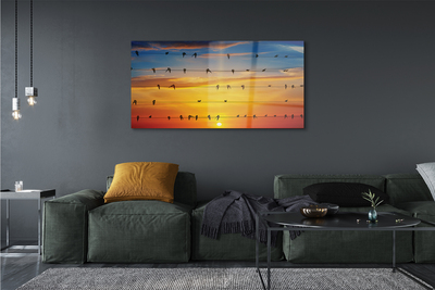 Obraz na akrylátovom skle Vtáky na lanách západu slnka