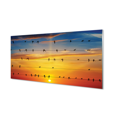 Obraz na akrylátovom skle Vtáky na lanách západu slnka