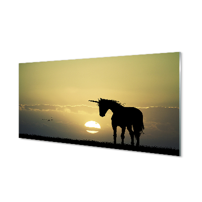 Obraz na akrylátovom skle Pole sunset jednorožec
