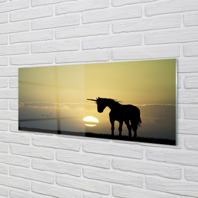 Obraz na akrylátovom skle Pole sunset jednorožec