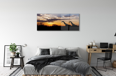 Obraz plexi Žirafy strom mraky
