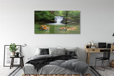 Obraz na akrylátovom skle Vodopád tigre