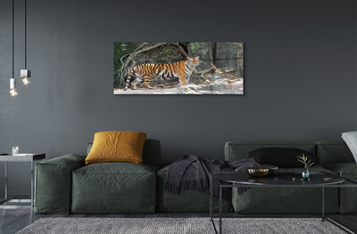 Obraz na akrylátovom skle Tiger džungle