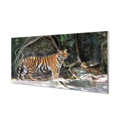 Obraz na akrylátovom skle Tiger džungle