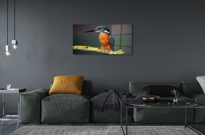 Obraz na akrylátovom skle Farebný vták na vetve