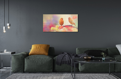 Obraz na akrylátovom skle Farebný papagáj