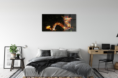Obraz plexi Japonský drak osvetlené