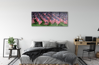 Obraz plexi Usa vlajky