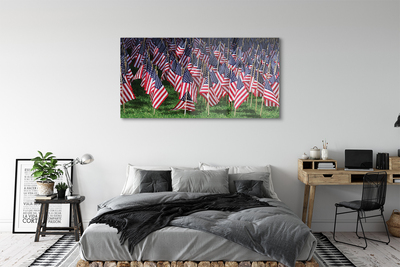 Obraz plexi Usa vlajky