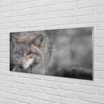 Obraz na akrylátovom skle Vlk