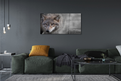 Obraz na akrylátovom skle Vlk