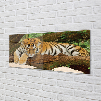 Obraz na akrylátovom skle Tiger tree
