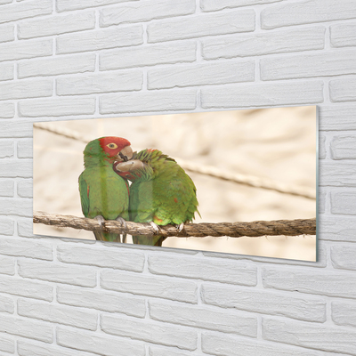 Obraz na akrylátovom skle Zelené papagáje
