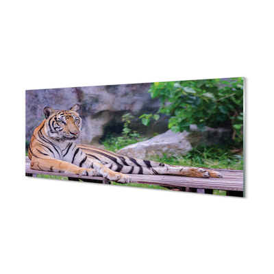 Obraz na akrylátovom skle Tiger v zoo