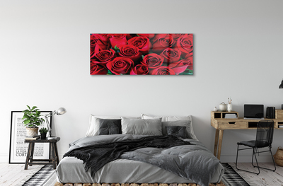 Obraz plexi Ruže