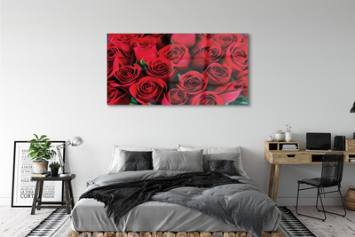 Obraz plexi Ruže
