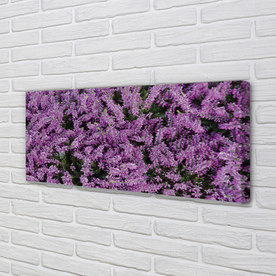 Obraz canvas fialové kvety