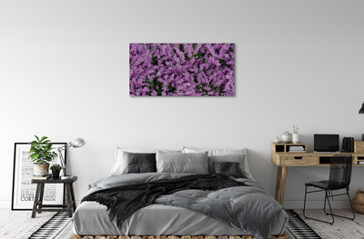 Obraz canvas fialové kvety