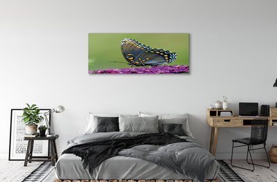 Obraz na plátne Farebný motýľ na kvety