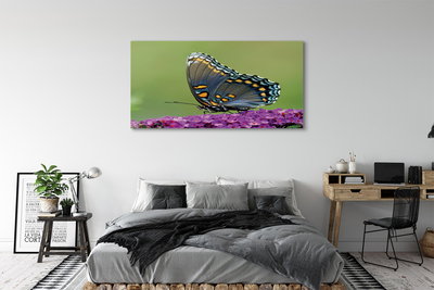 Obraz na plátne Farebný motýľ na kvety