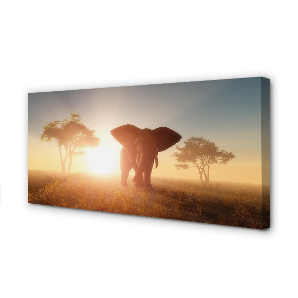 Obraz canvas Sloní strom na východ