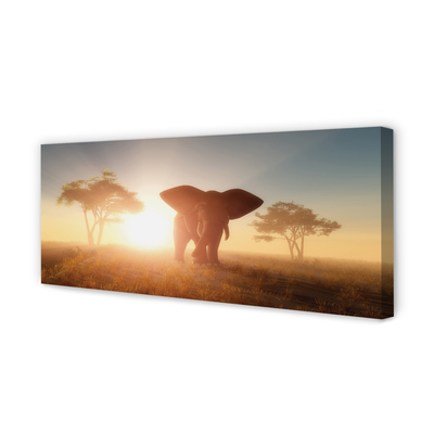 Obraz canvas Sloní strom na východ